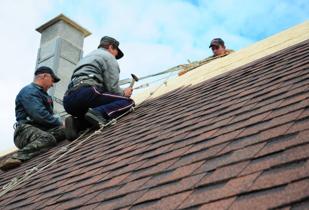 Best Roof Gutter Cleaning  in Montclair State University, NJ